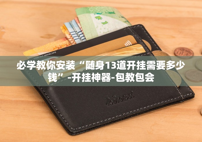 必学教你安装“随身13道开挂需要多少钱”-开挂神器-包教包会