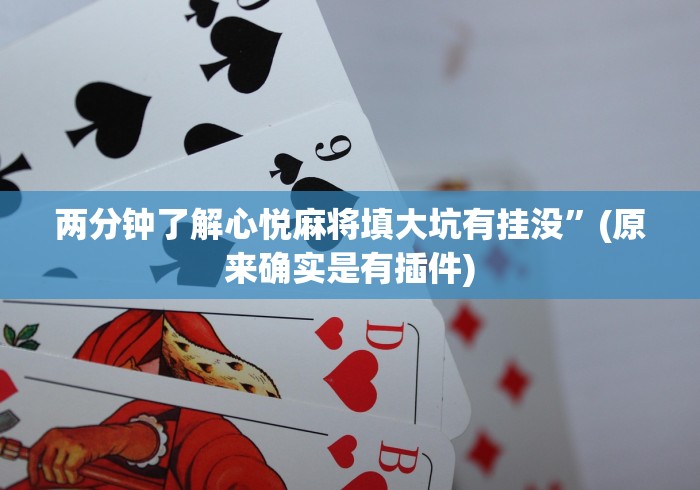 两分钟了解心悦麻将填大坑有挂没”(原来确实是有插件)