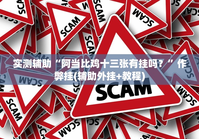 实测辅助“阿当比鸡十三张有挂吗？”作弊挂(辅助外挂+教程)