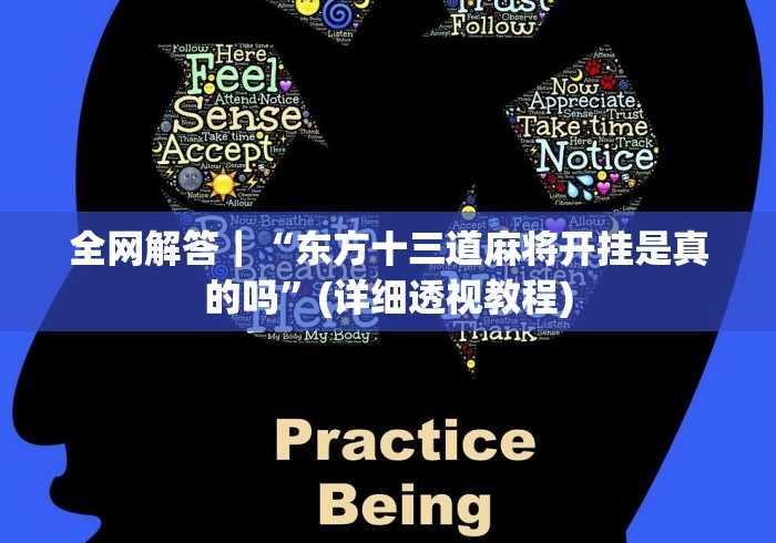 实测辅助“棋牌十三张开挂会不会被检测出来”(太坑了果然有挂)