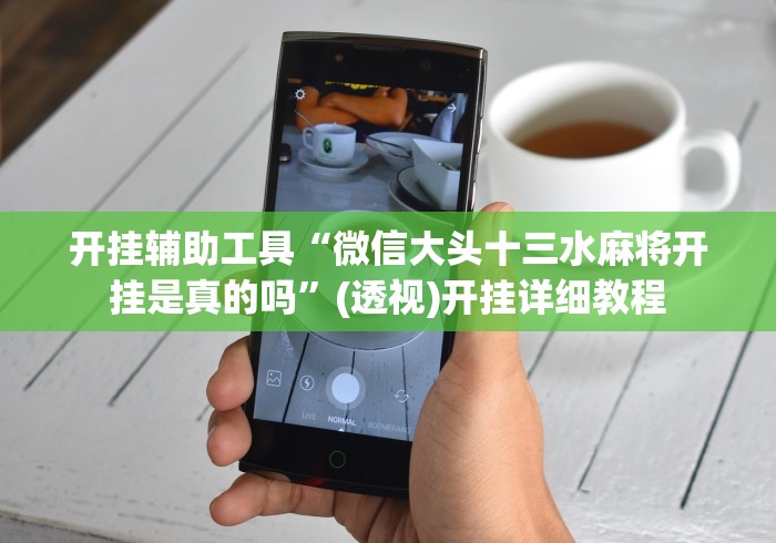 【第一攻略】“手机十三道真的有外挂吗？”(原来确实是有挂)