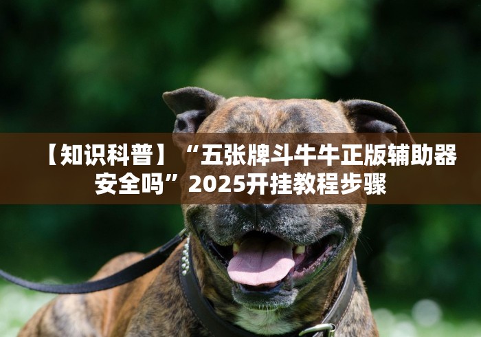 必备科技“来趣广西麻将十三张开挂是怎样的”揭秘透视辅助万能挂