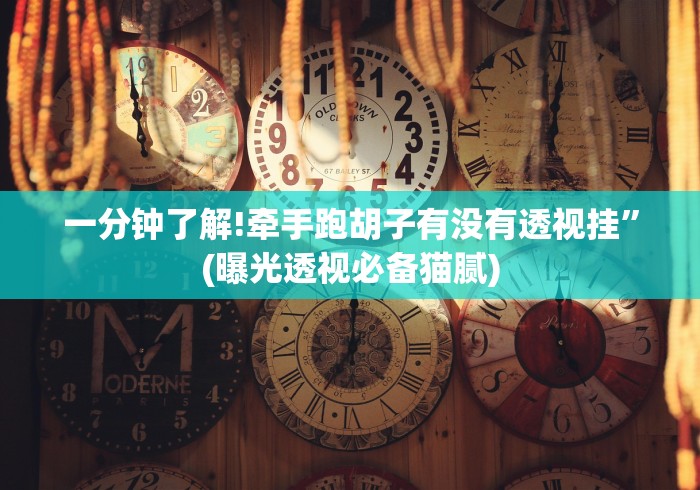 一分钟了解!牵手跑胡子有没有透视挂”(曝光透视必备猫腻)