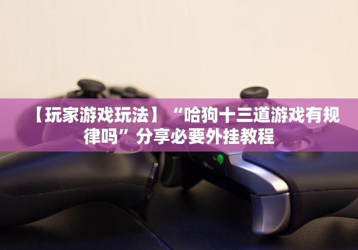 【玩家游戏玩法】“哈狗十三道游戏有规律吗”分享必要外挂教程