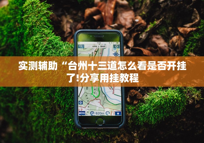 实测辅助“台州十三道怎么看是否开挂了!分享用挂教程