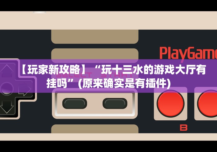 【玩家新攻略】“玩十三水的游戏大厅有挂吗”(原来确实是有插件)