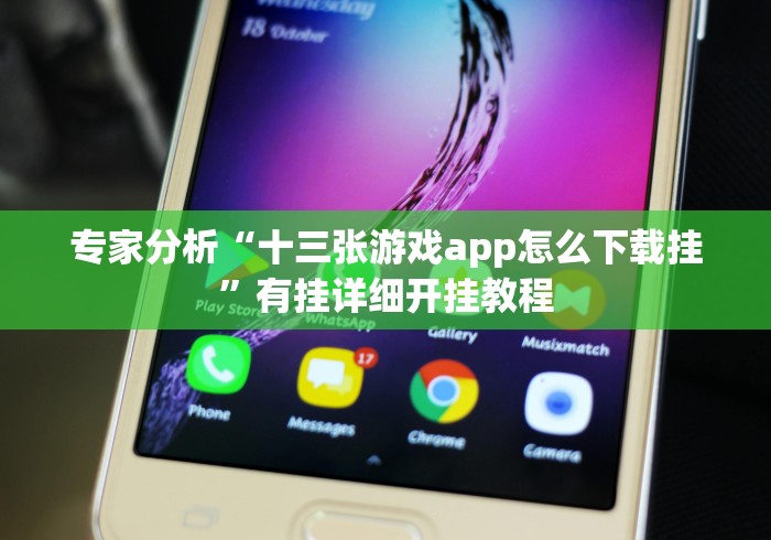专家分析“十三张游戏app怎么下载挂”有挂详细开挂教程