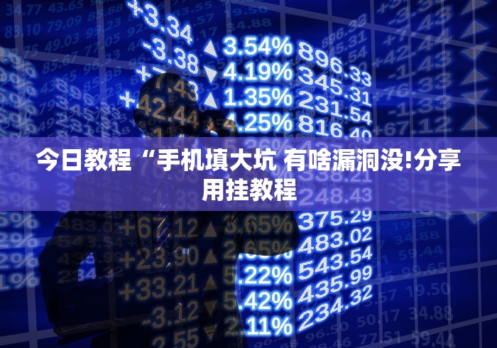 今日教程“手机填大坑 有啥漏洞没!分享用挂教程