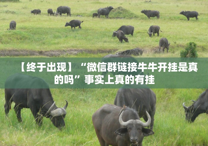 【终于出现】“微信群链接牛牛开挂是真的吗”事实上真的有挂