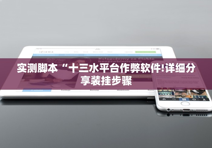 实测脚本“十三水平台作弊软件!详细分享装挂步骤